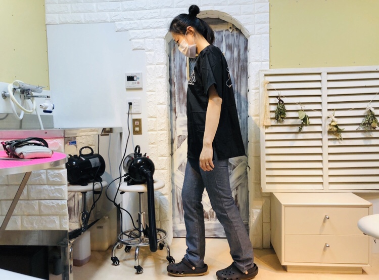 333 Dog-Care トリミングの道具店