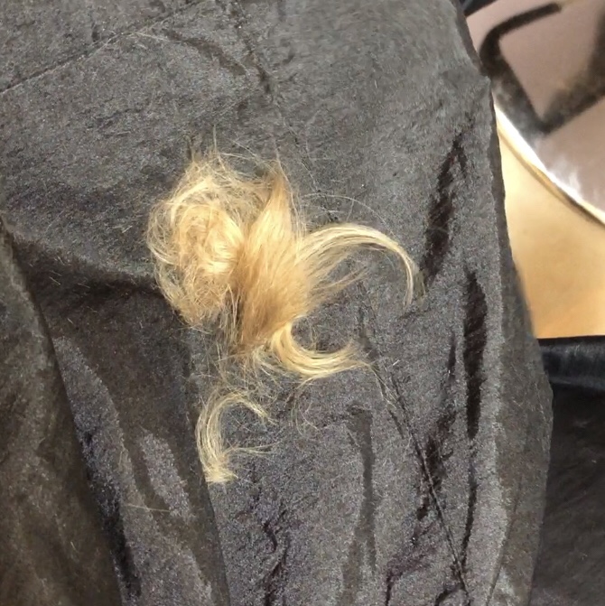 333 Dog-Care トリミングの道具店