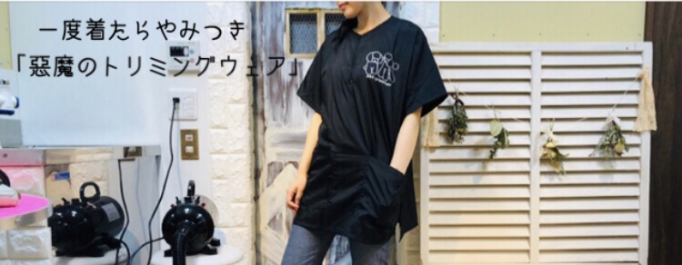 333 Dog-Care トリミングの道具店