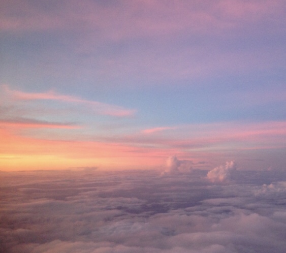 333 Dog-Care トリミングの道具店