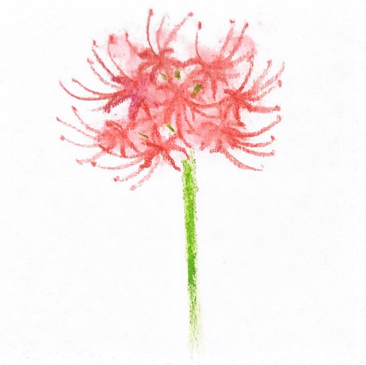 333 Dog-Care トリミングの道具店