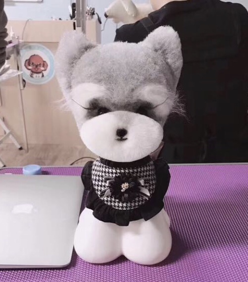 333 Dog-Care トリミングの道具店