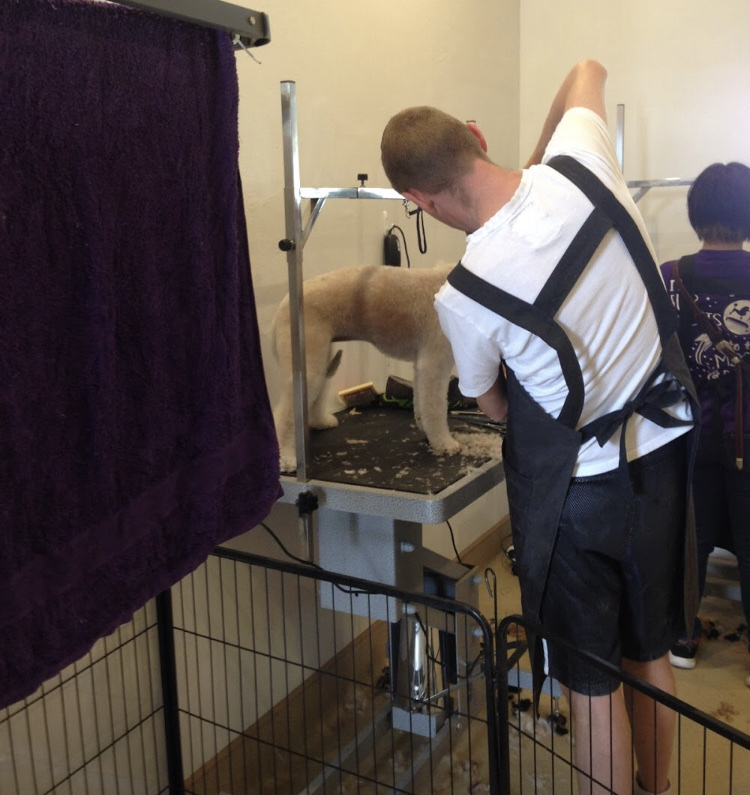 333 Dog-Care トリミングの道具店