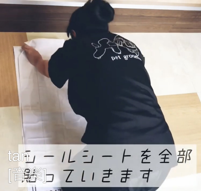 333 Dog-Care トリミングの道具店