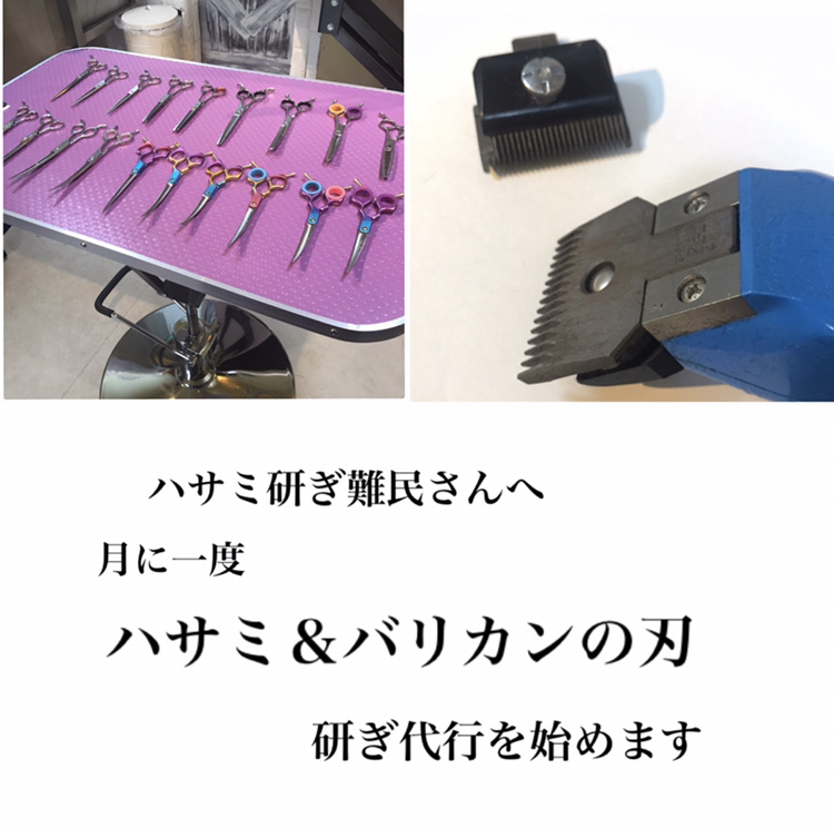 333 Dog-Care トリミングの道具店