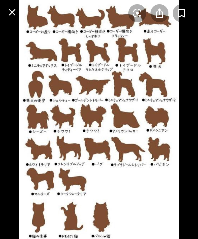 333 Dog-Care トリミングの道具店