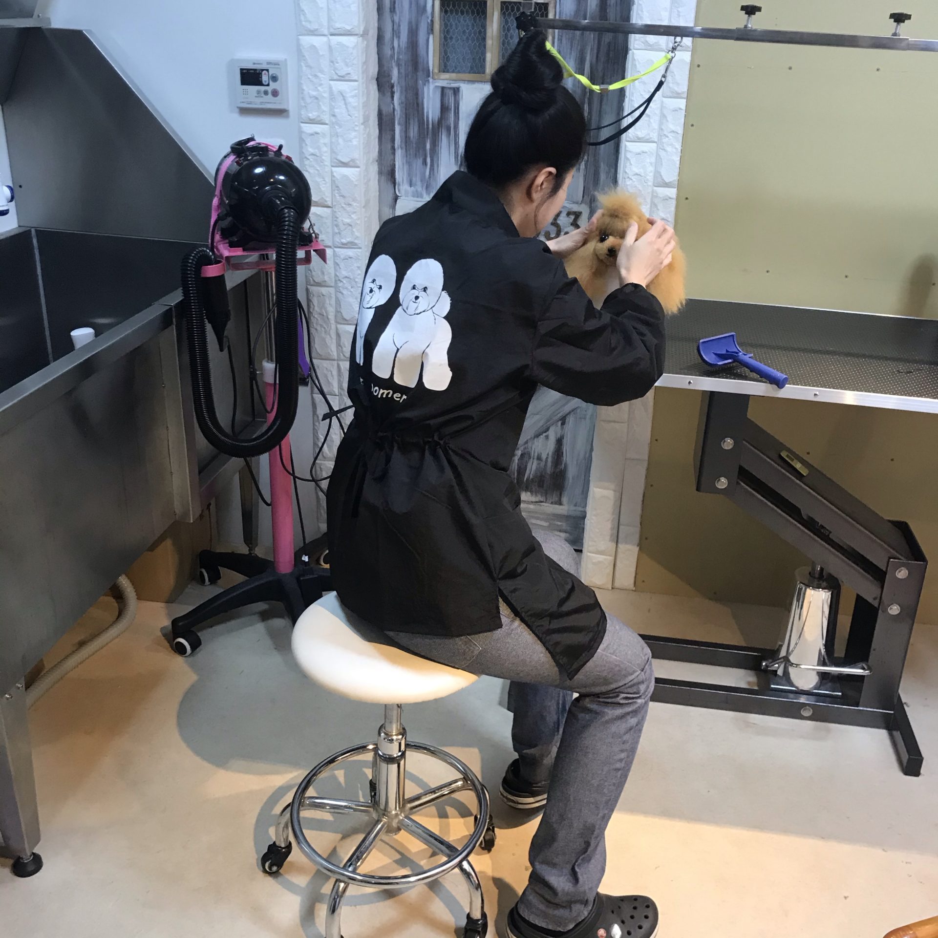333 Dog-Care トリミングの道具店