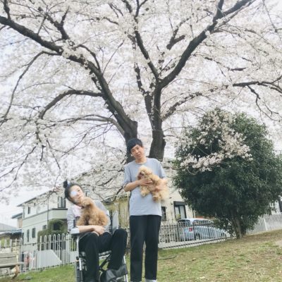 桜の前で店長鈴木の兄と車いすの母とプードル２匹