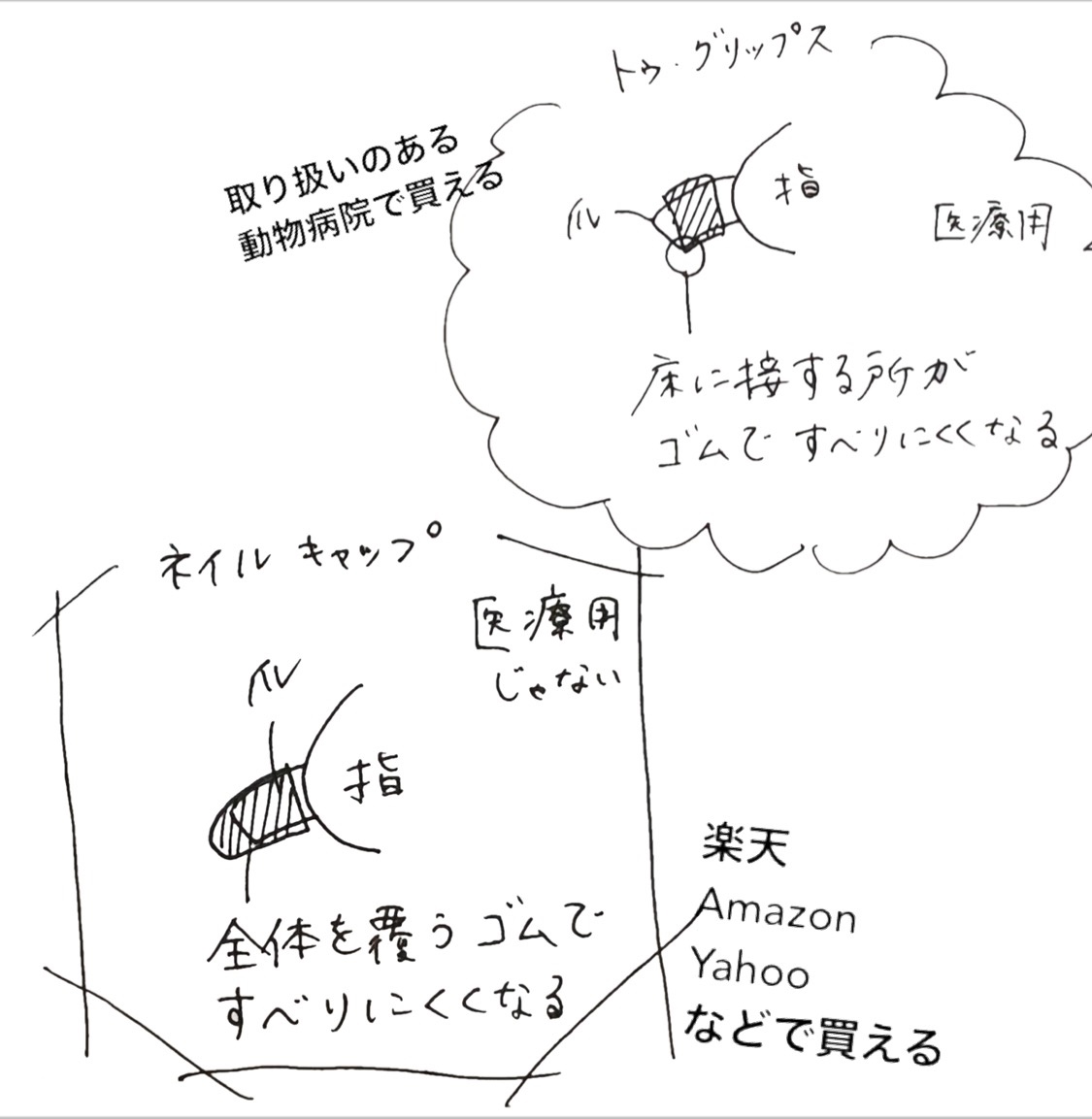 ネイル キャップ クリアランス 犬