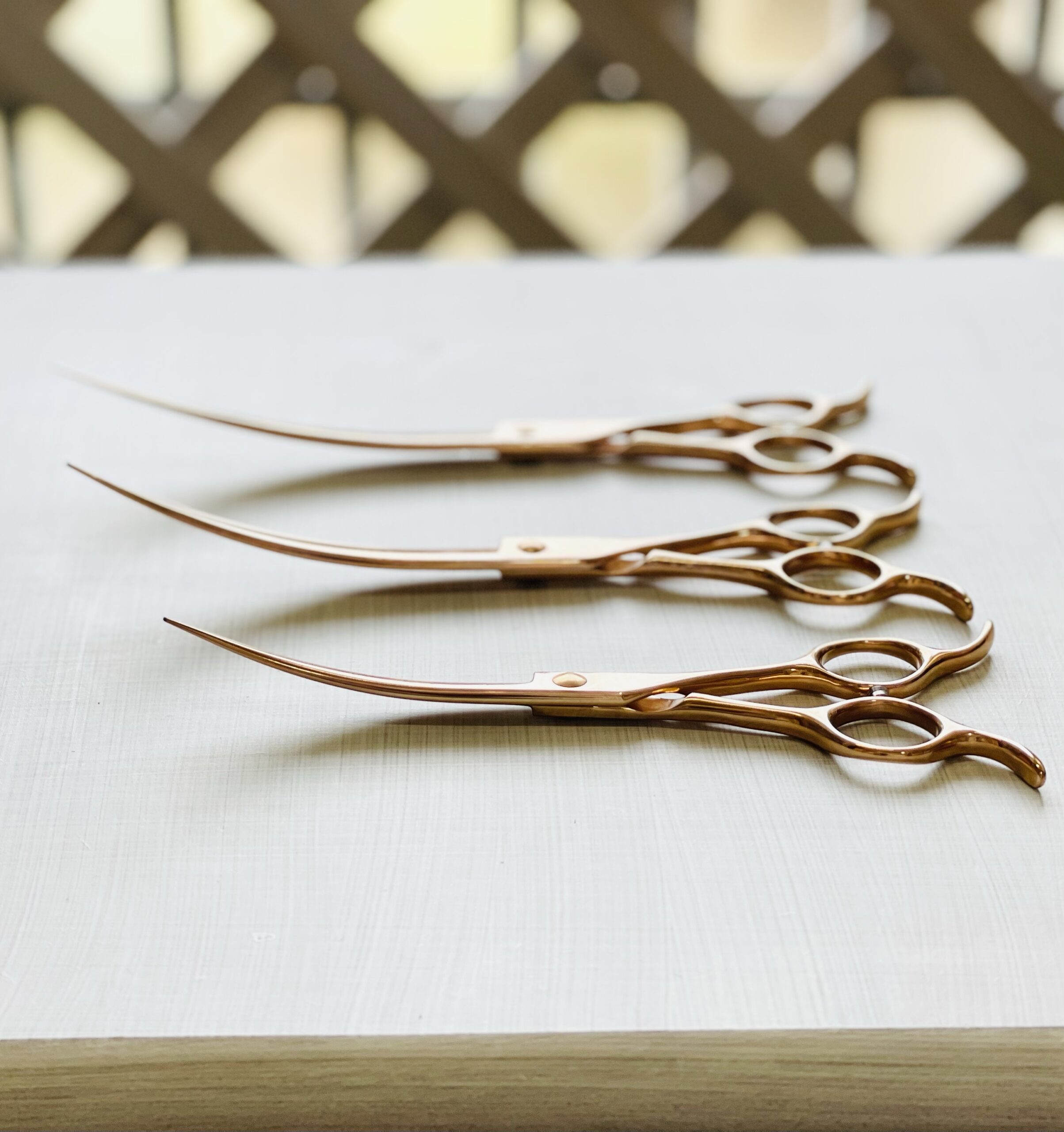 333 Dog-Care トリミングの道具店