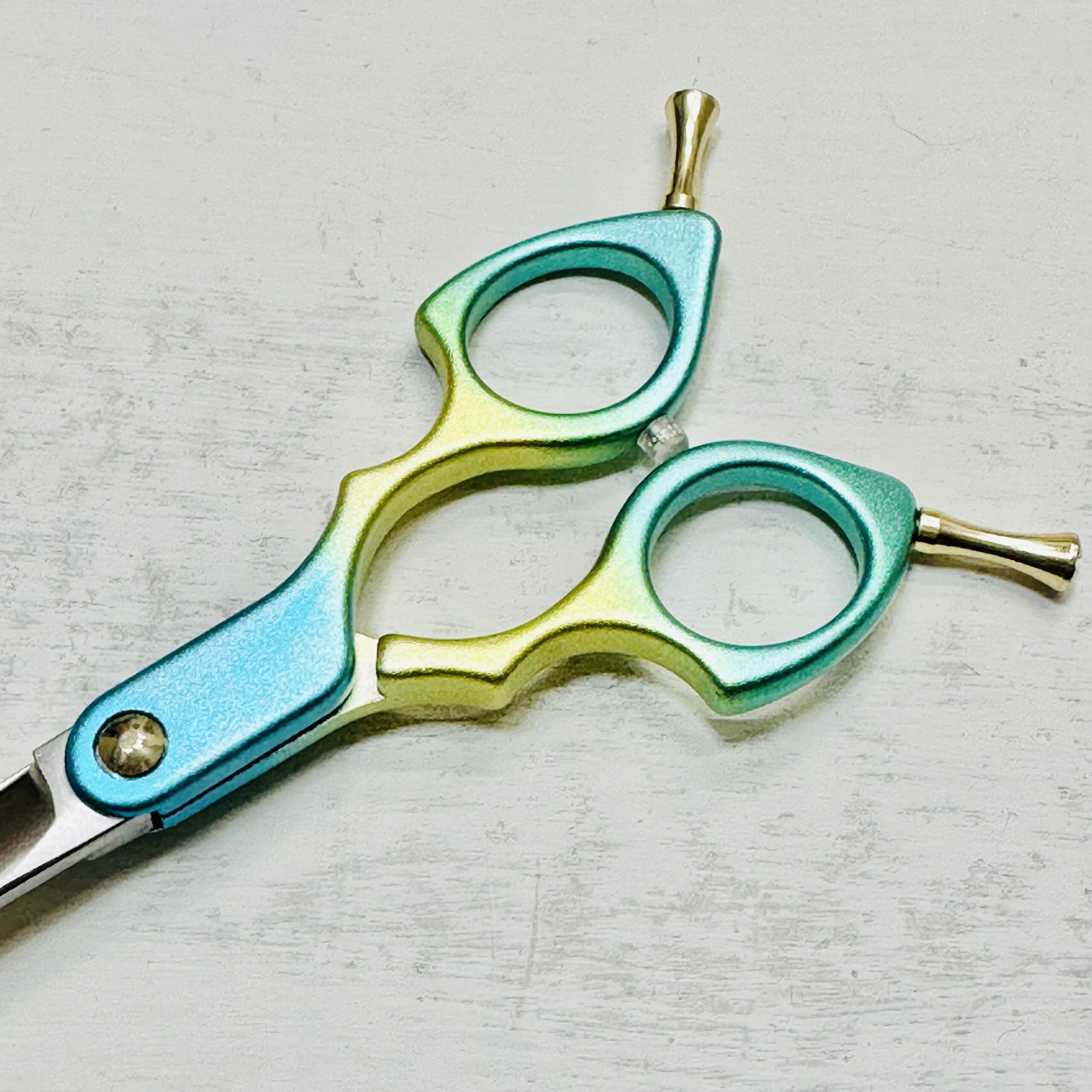 333 Dog-Care トリミングの道具店