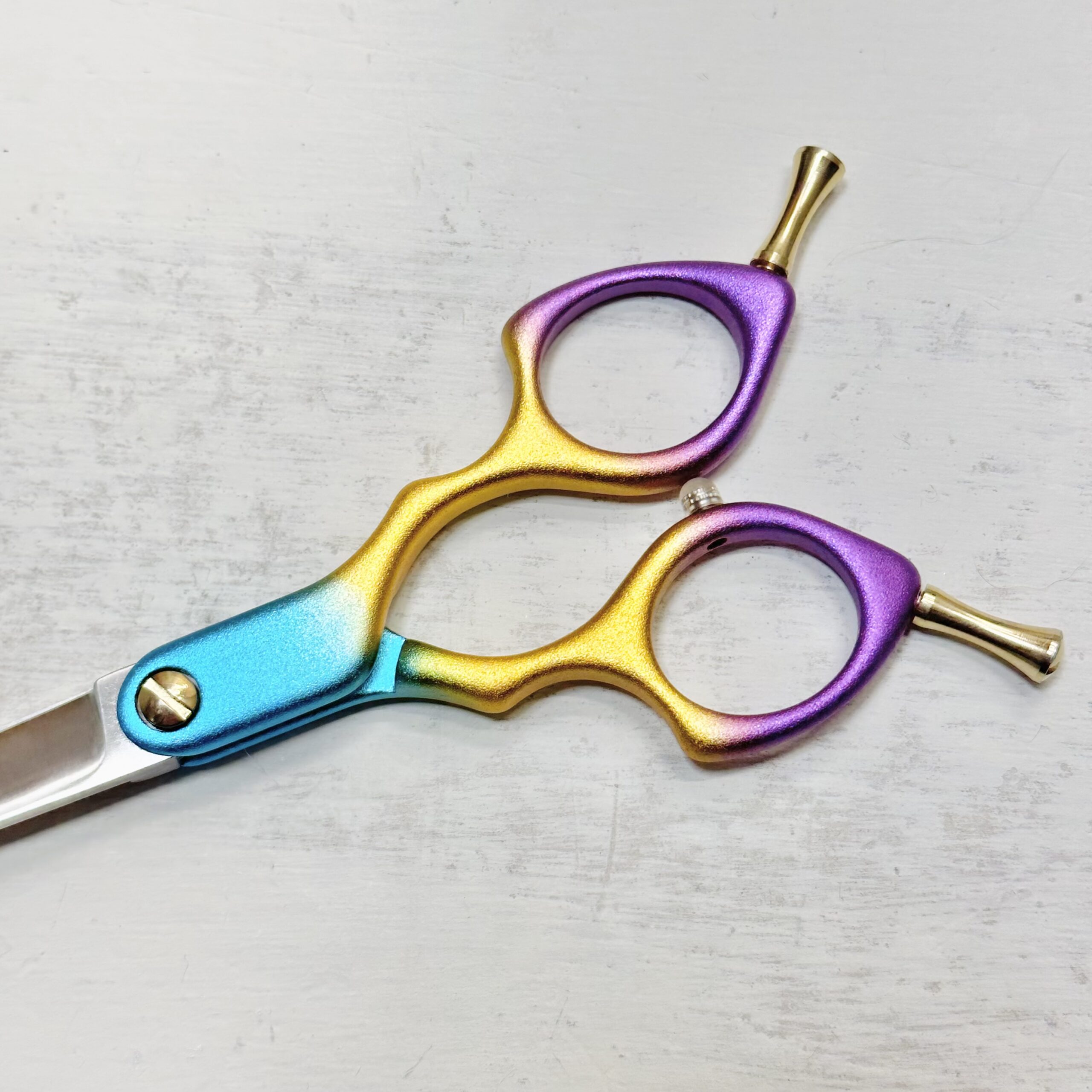 333 Dog-Care トリミングの道具店