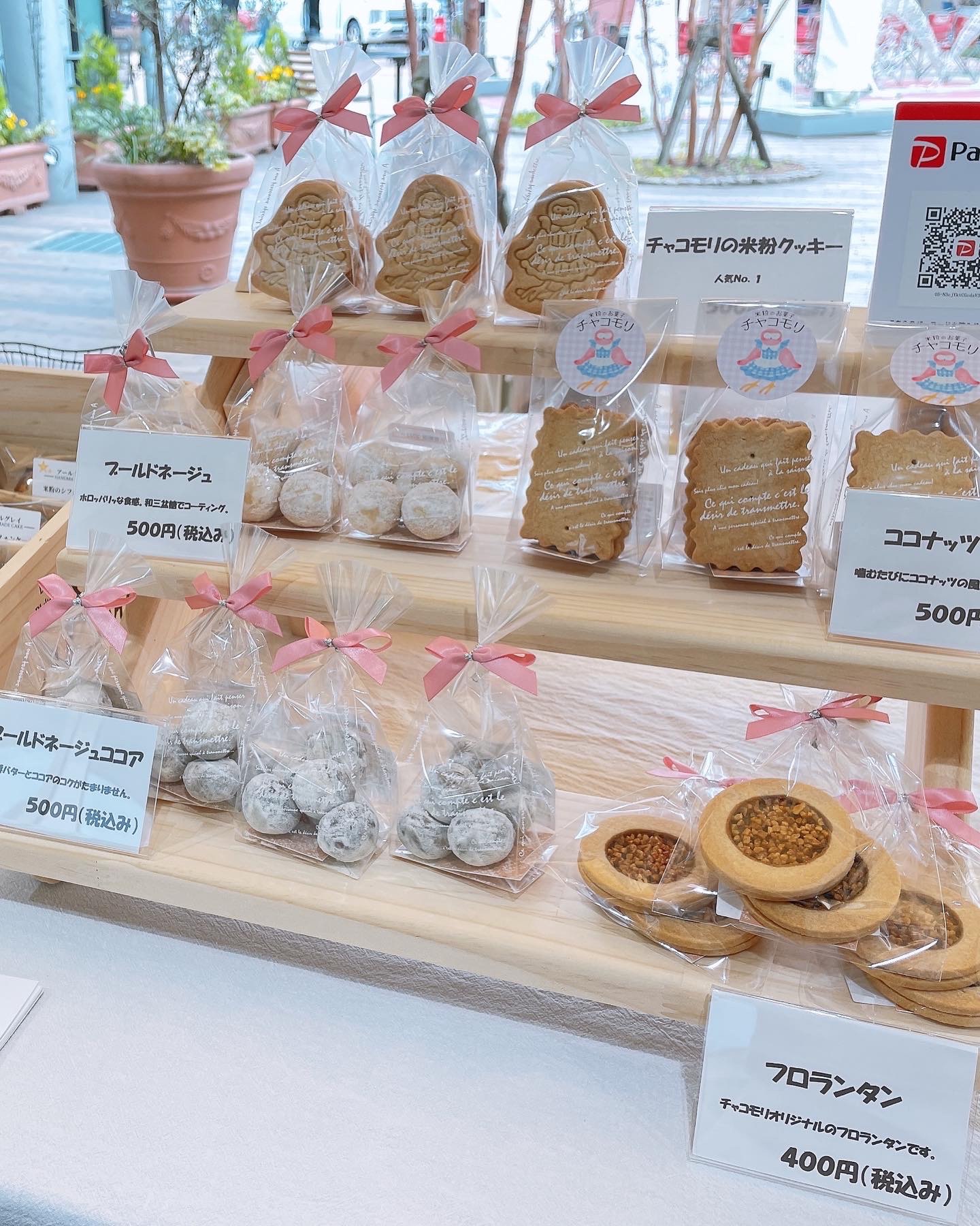333 Dog-Care トリミングの道具店