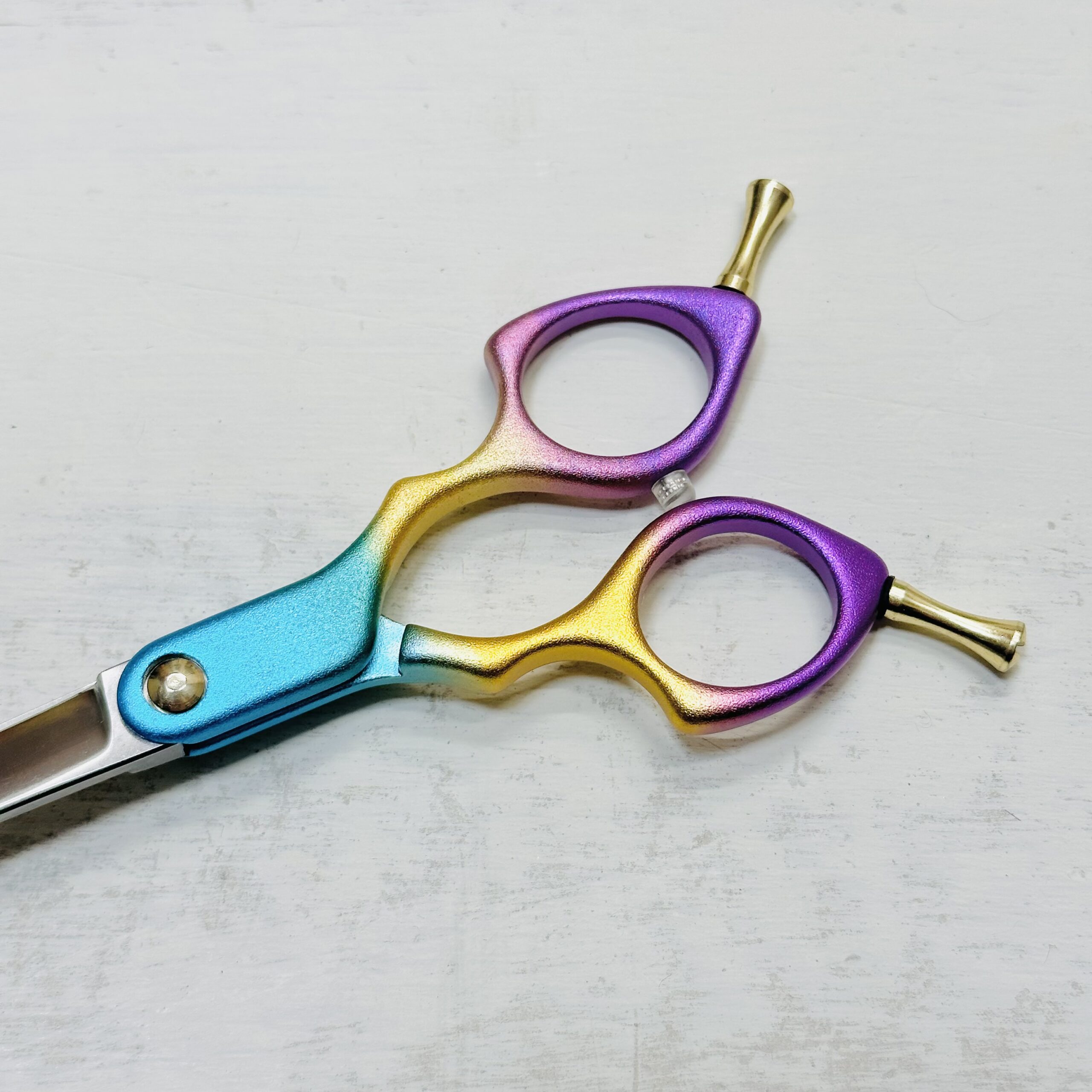 333 Dog-Care トリミングの道具店