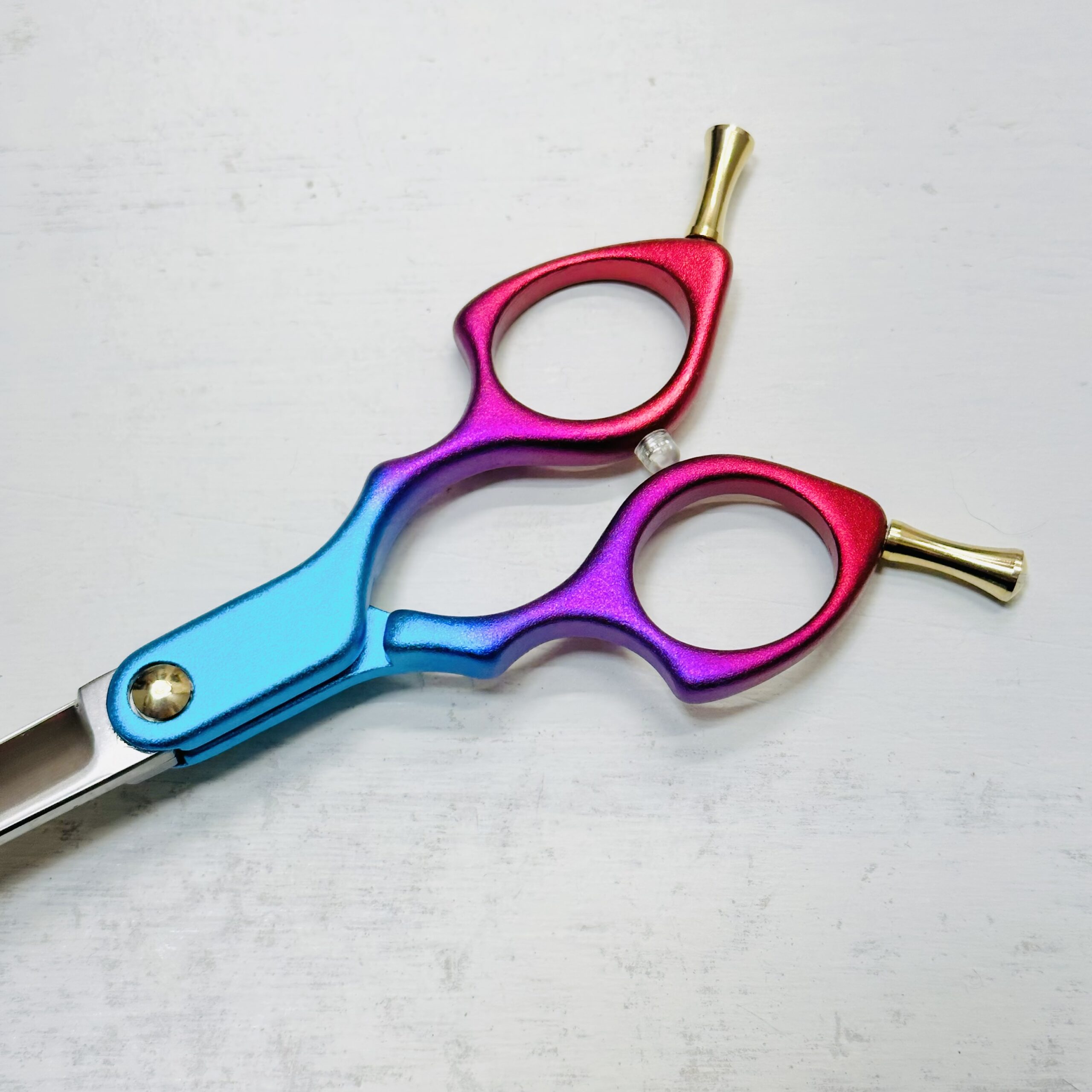 333 Dog-Care トリミングの道具店