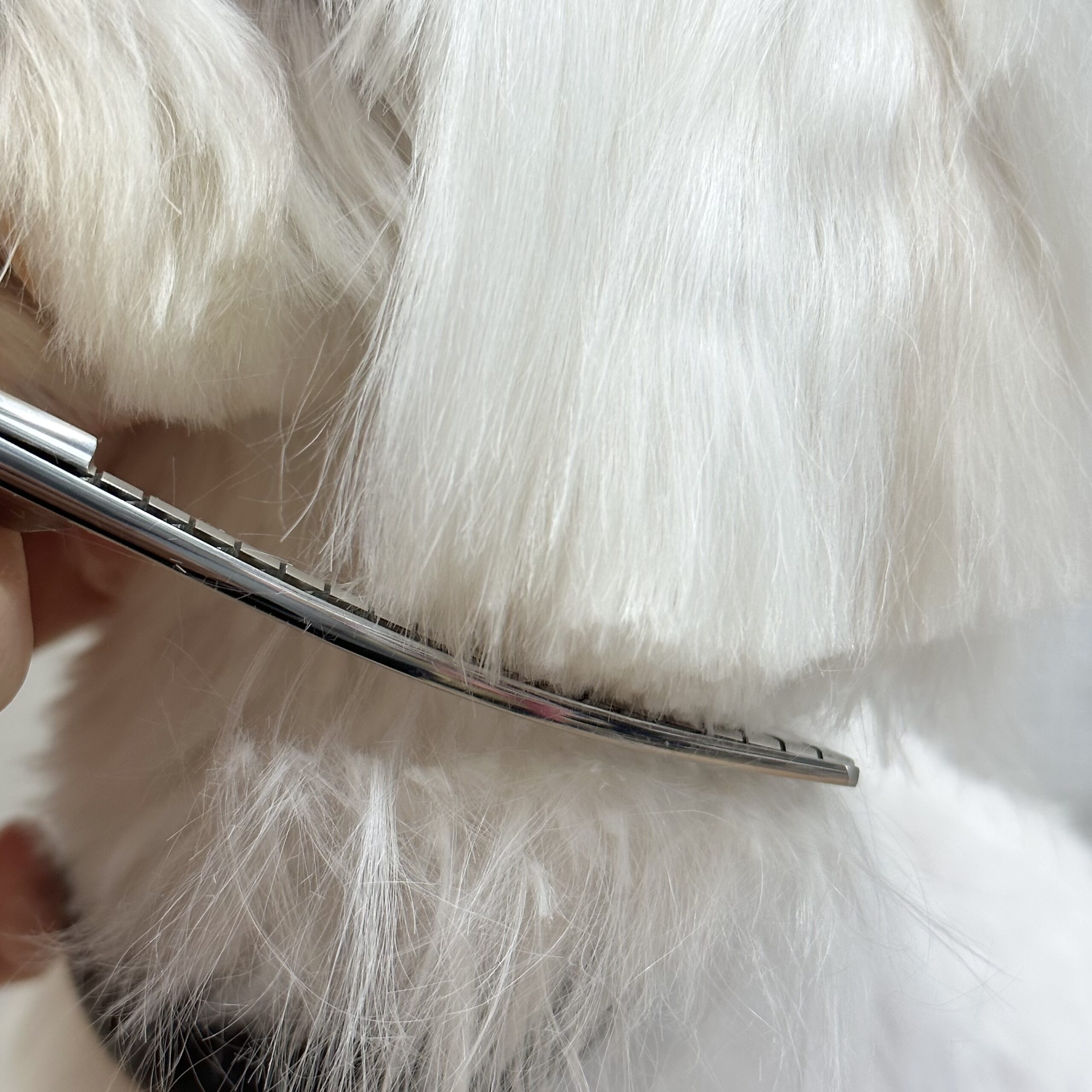 6.5カーブチャンカー