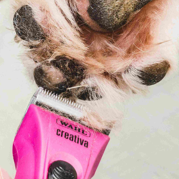 333 Dog-Care トリミングの道具店