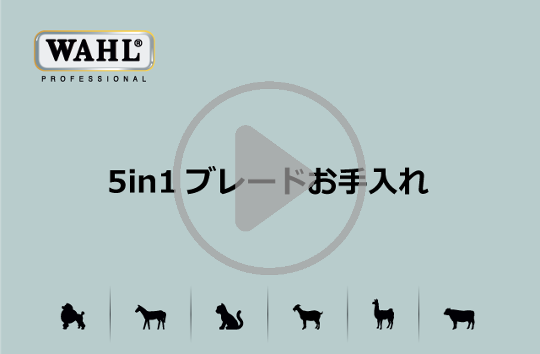 333 Dog-Care トリミングの道具店