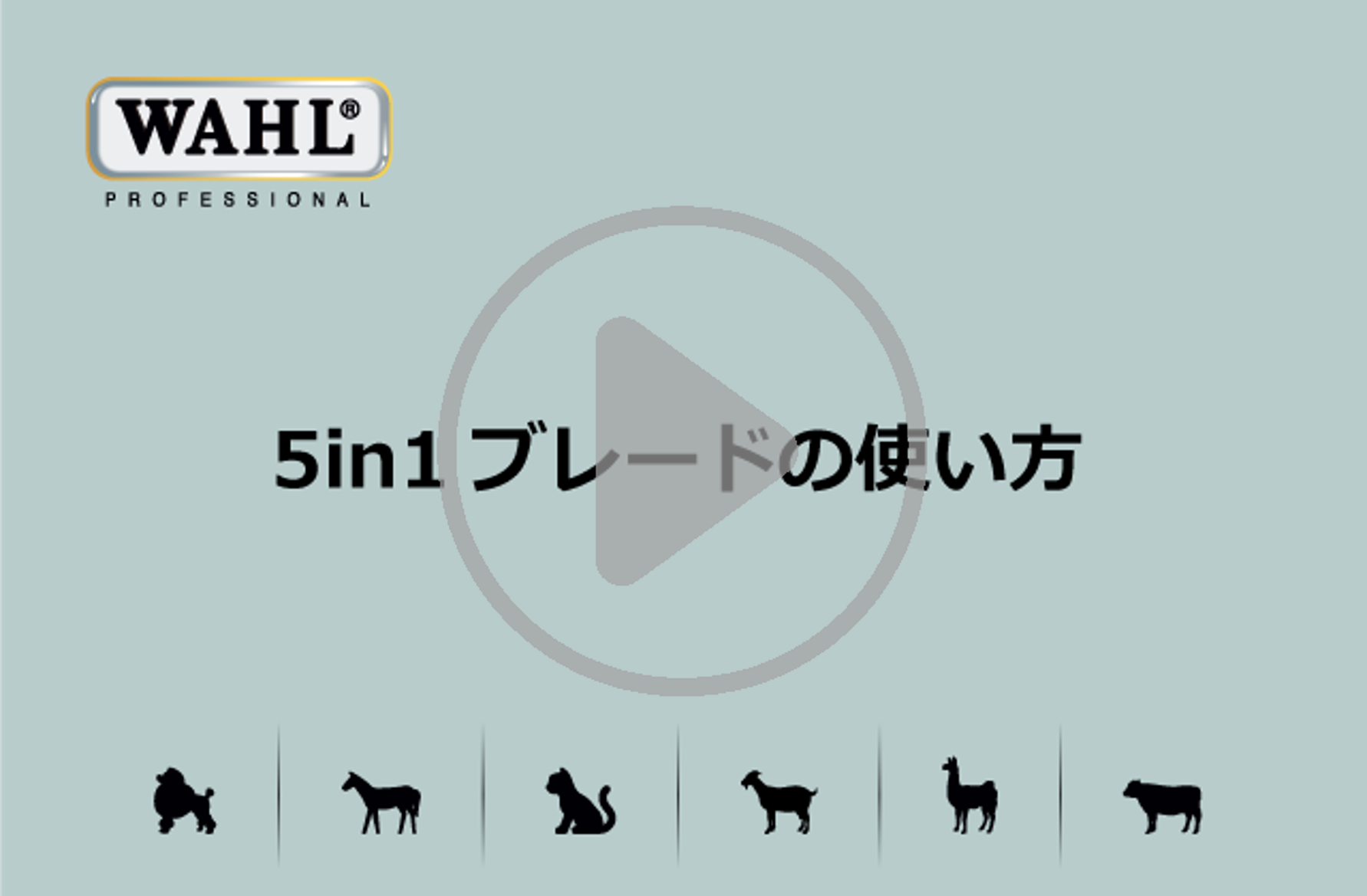 333 Dog-Care トリミングの道具店