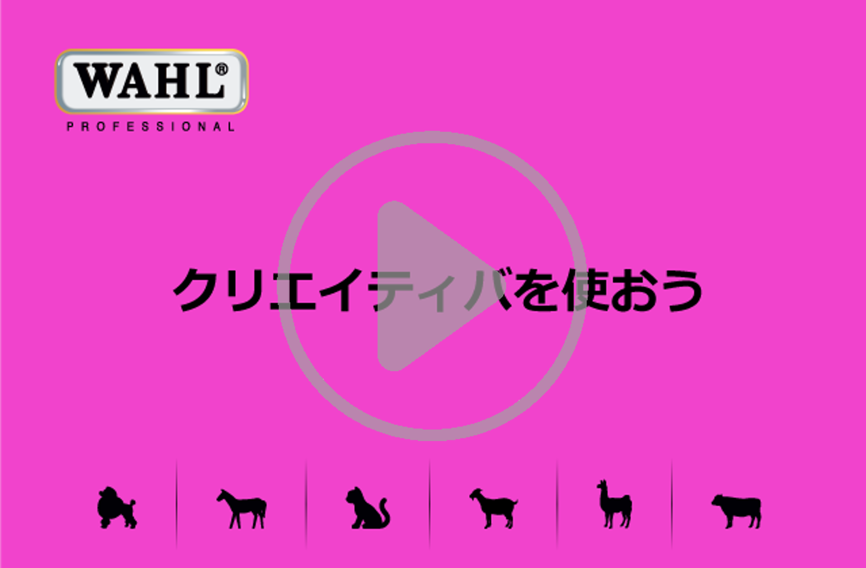 333 Dog-Care トリミングの道具店