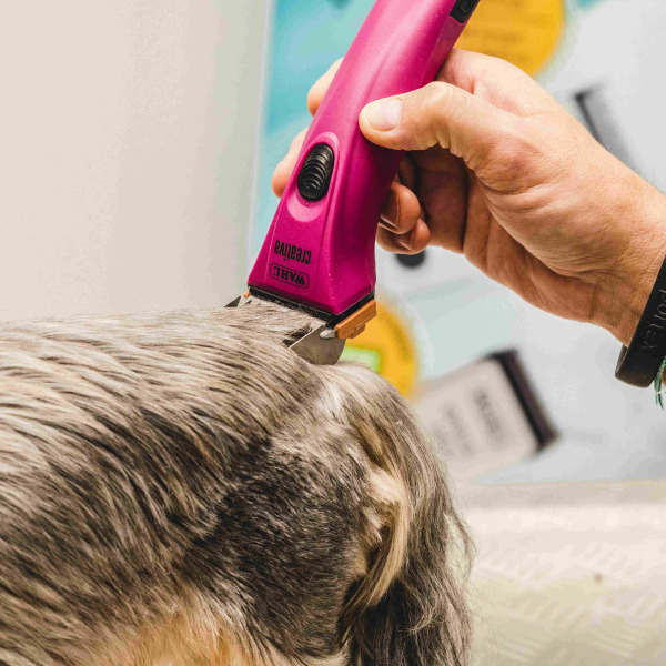 333 Dog-Care トリミングの道具店