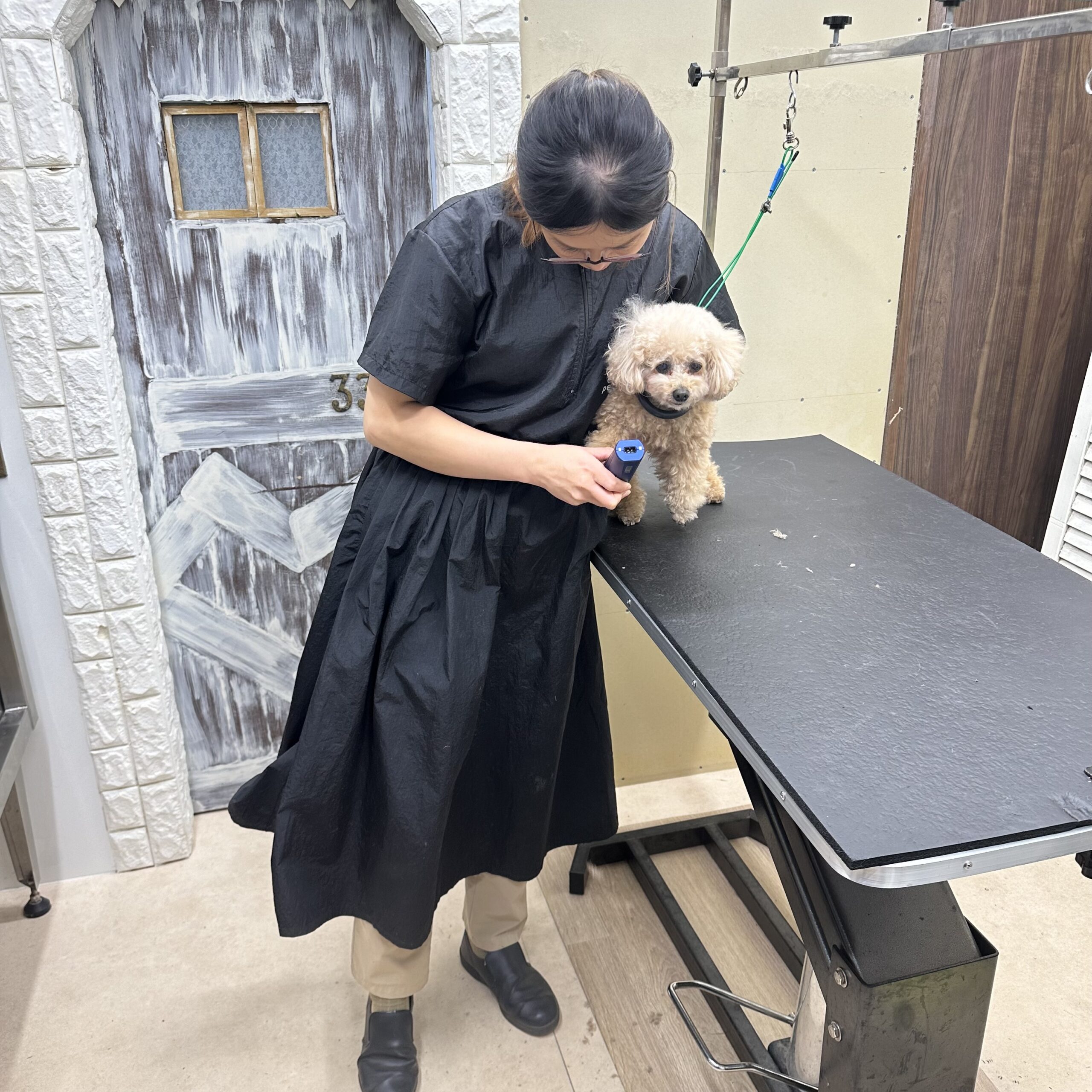 333 Dog-Care トリミングの道具店