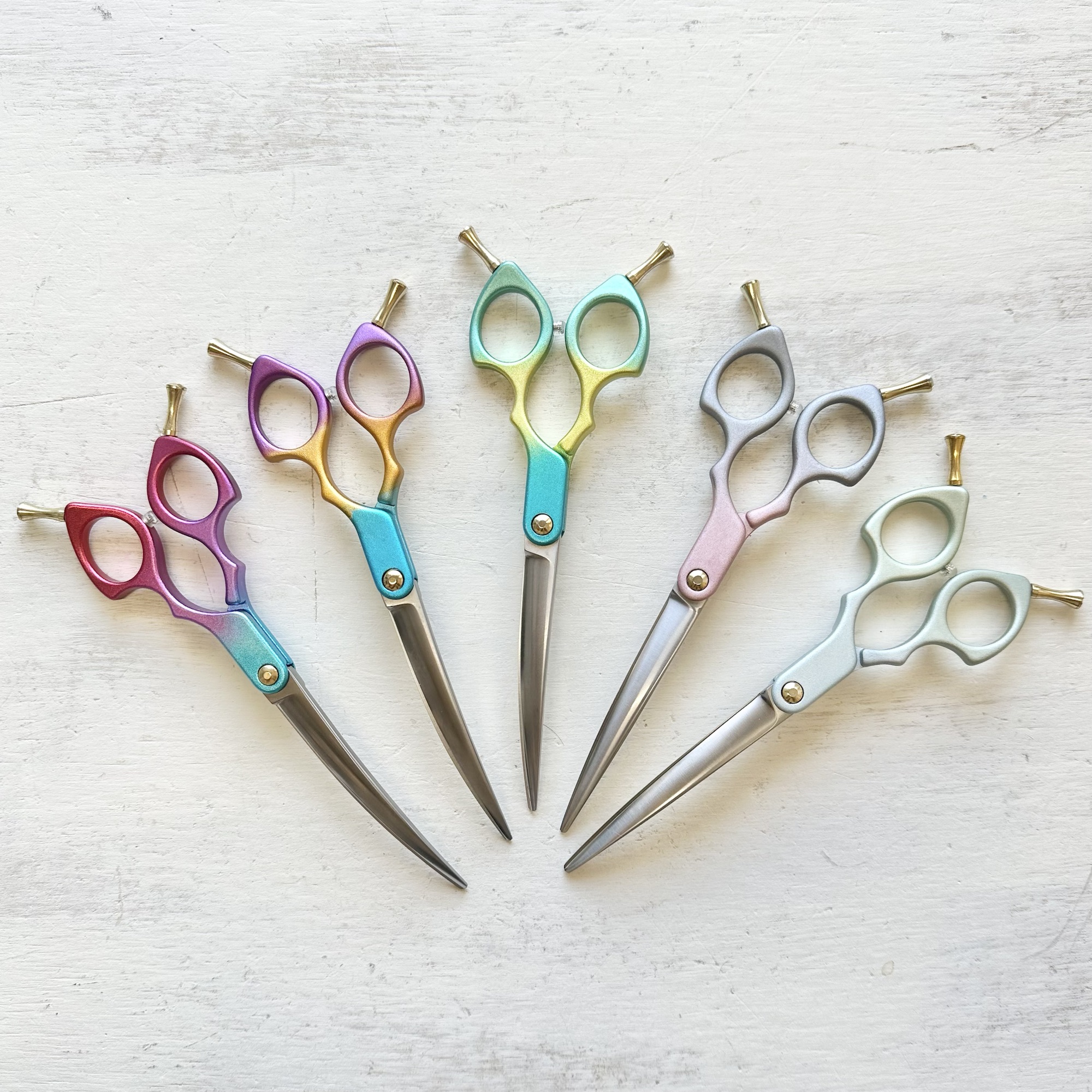 333 Dog-Care トリミングの道具店