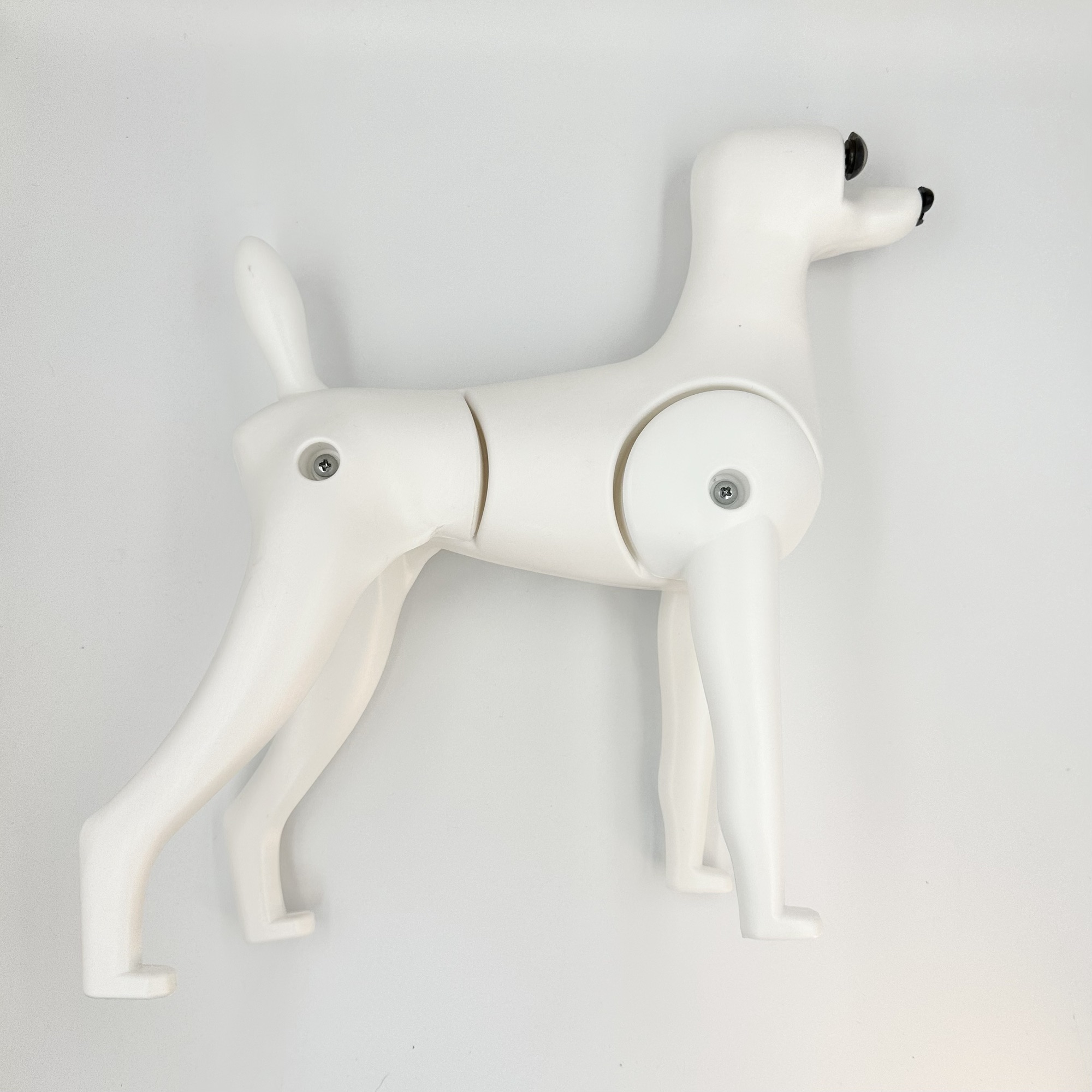 333 Dog-Care トリミングの道具店