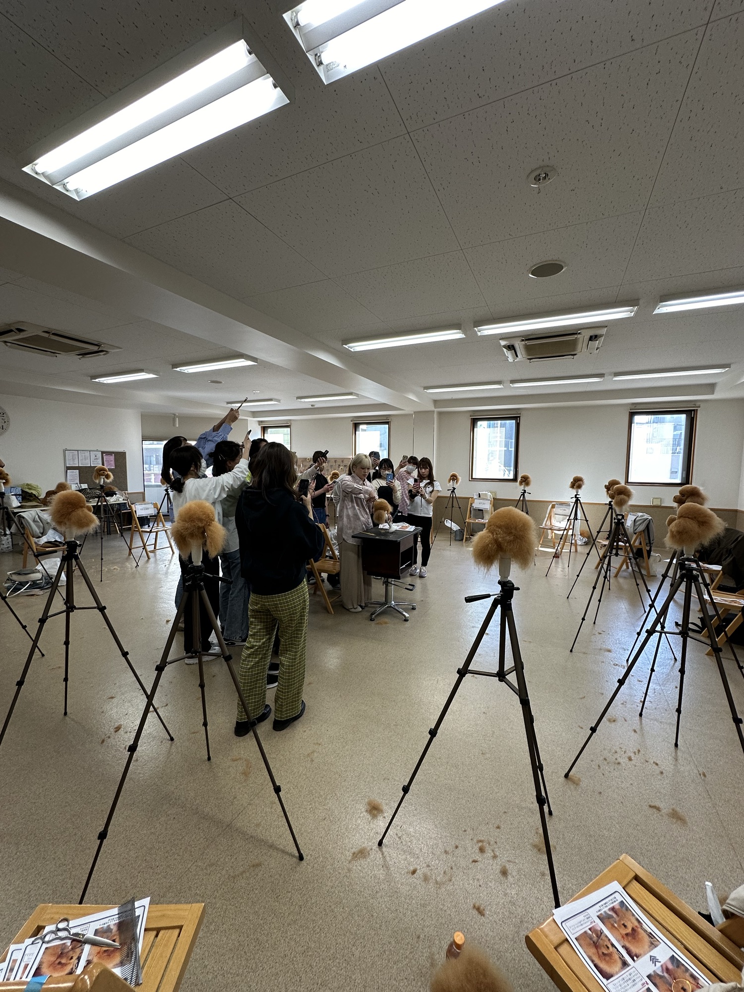 333 Dog-Care トリミングの道具店