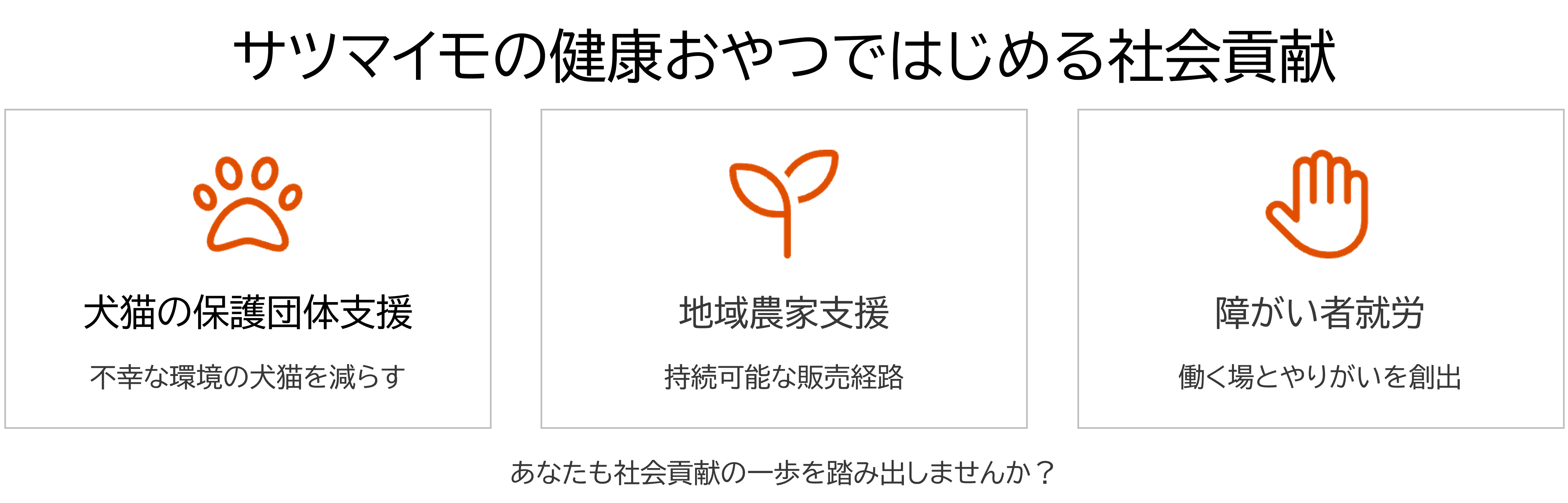 333 Dog-Care トリミングの道具店