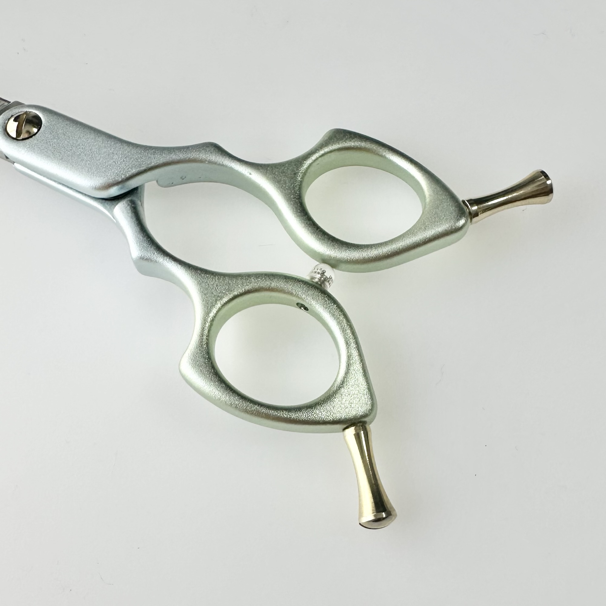 333 Dog-Care トリミングの道具店