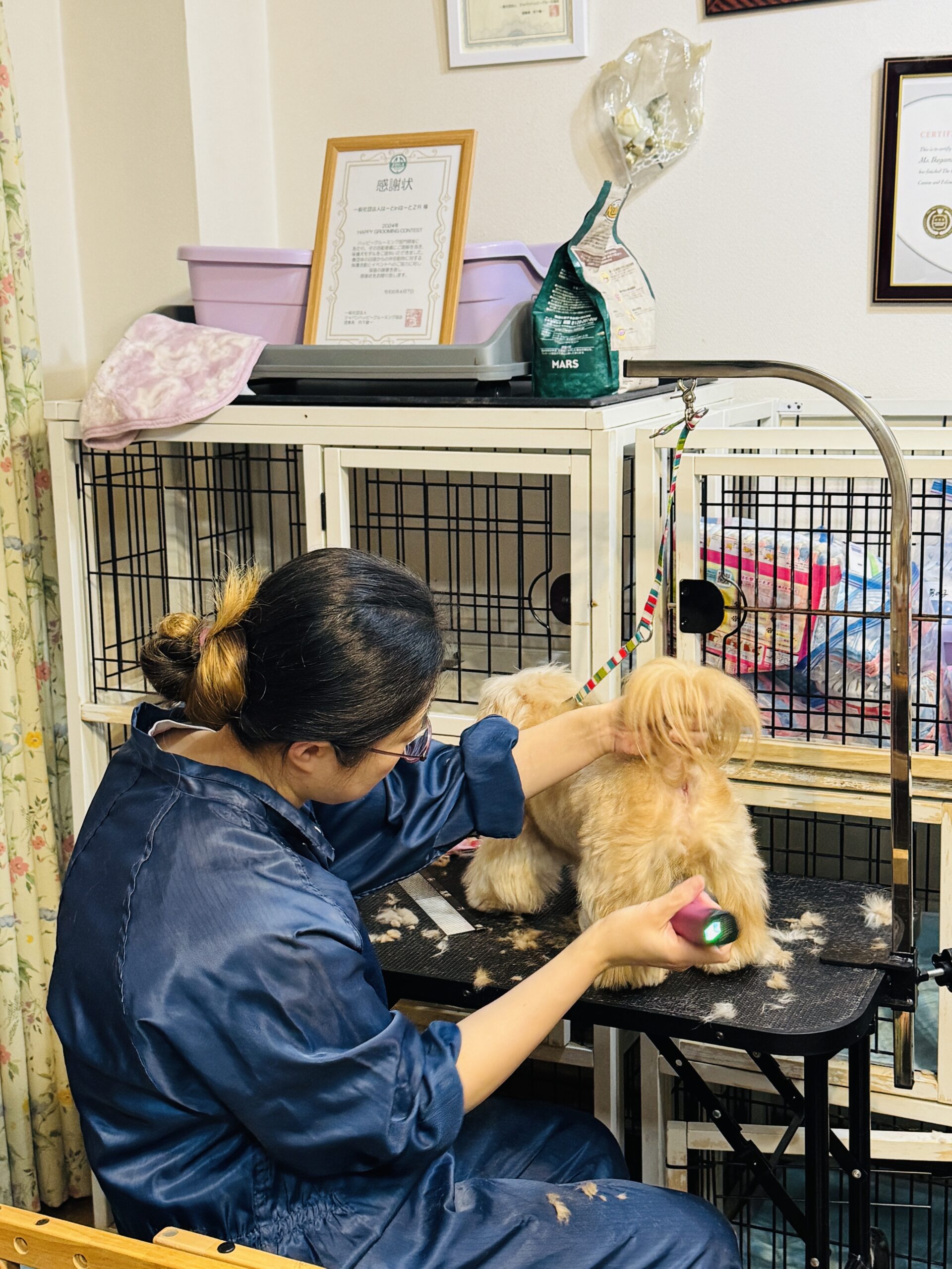 333 Dog-Care トリミングの道具店