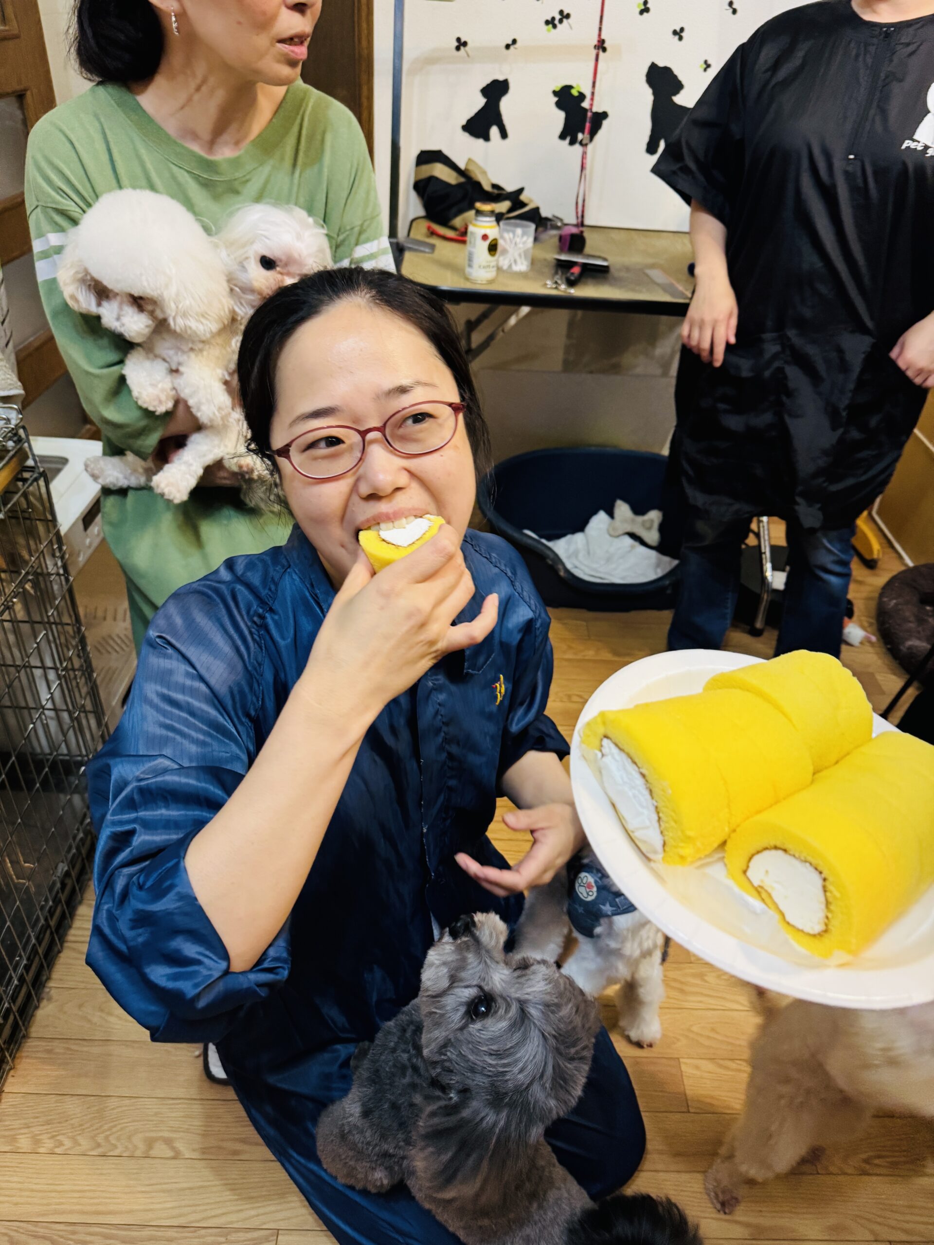 333 Dog-Care トリミングの道具店