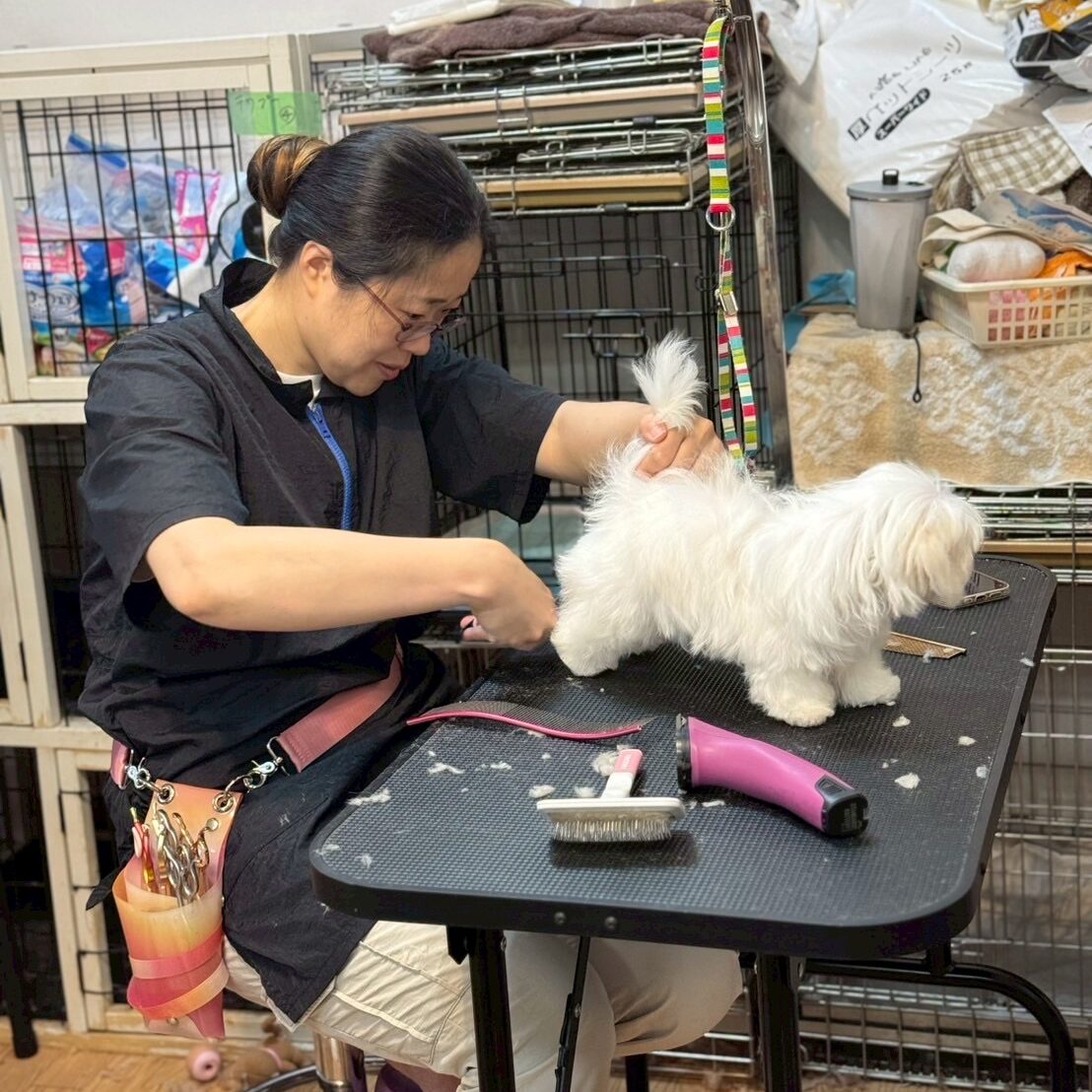 333 Dog-Care トリミングの道具店