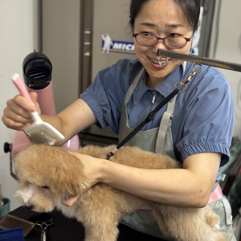 ボランティアトリミング_20250906