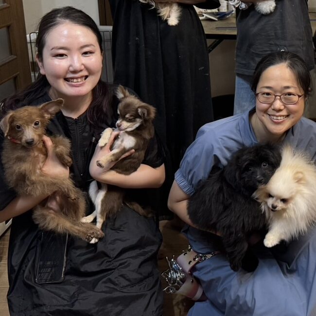 ボランティアトリミング