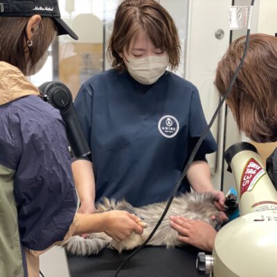 熊谷動物指導センター20251118_8