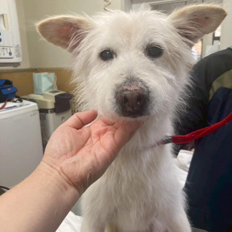 熊谷動物指導センター20251118_2