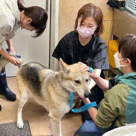 熊谷動物指導センター20251118_3