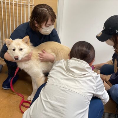 熊谷動物指導センター20251118_10