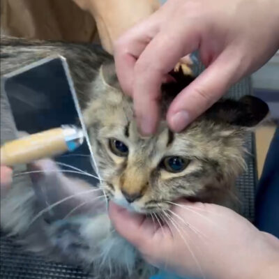 熊谷動物指導センター20251118_6