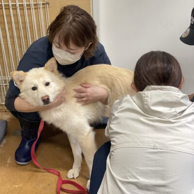 熊谷動物指導センター20251118_9