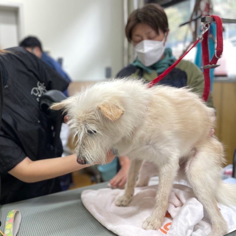 熊谷動物指導センター20251118_1 