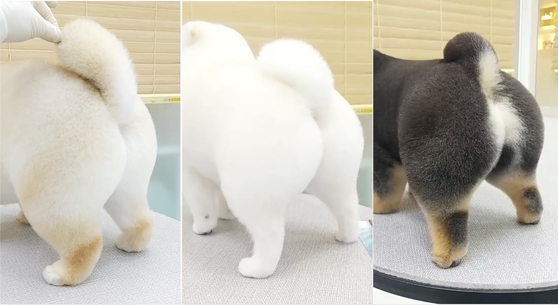 スクリーンショット 2025-11-20 午後0.34.09