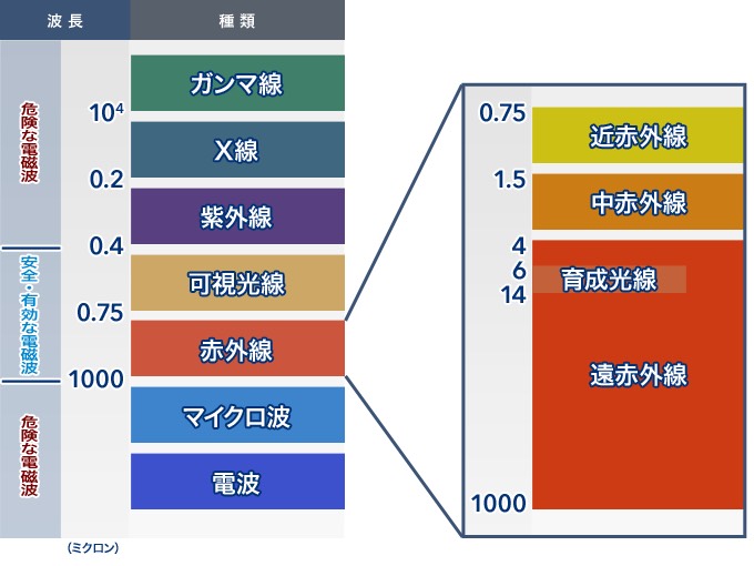 333 Dog-Care トリミングの道具店