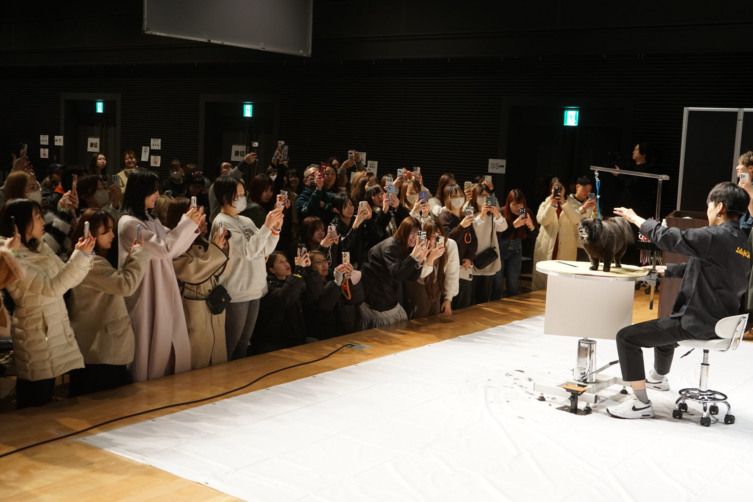 333 Dog-Care トリミングの道具店