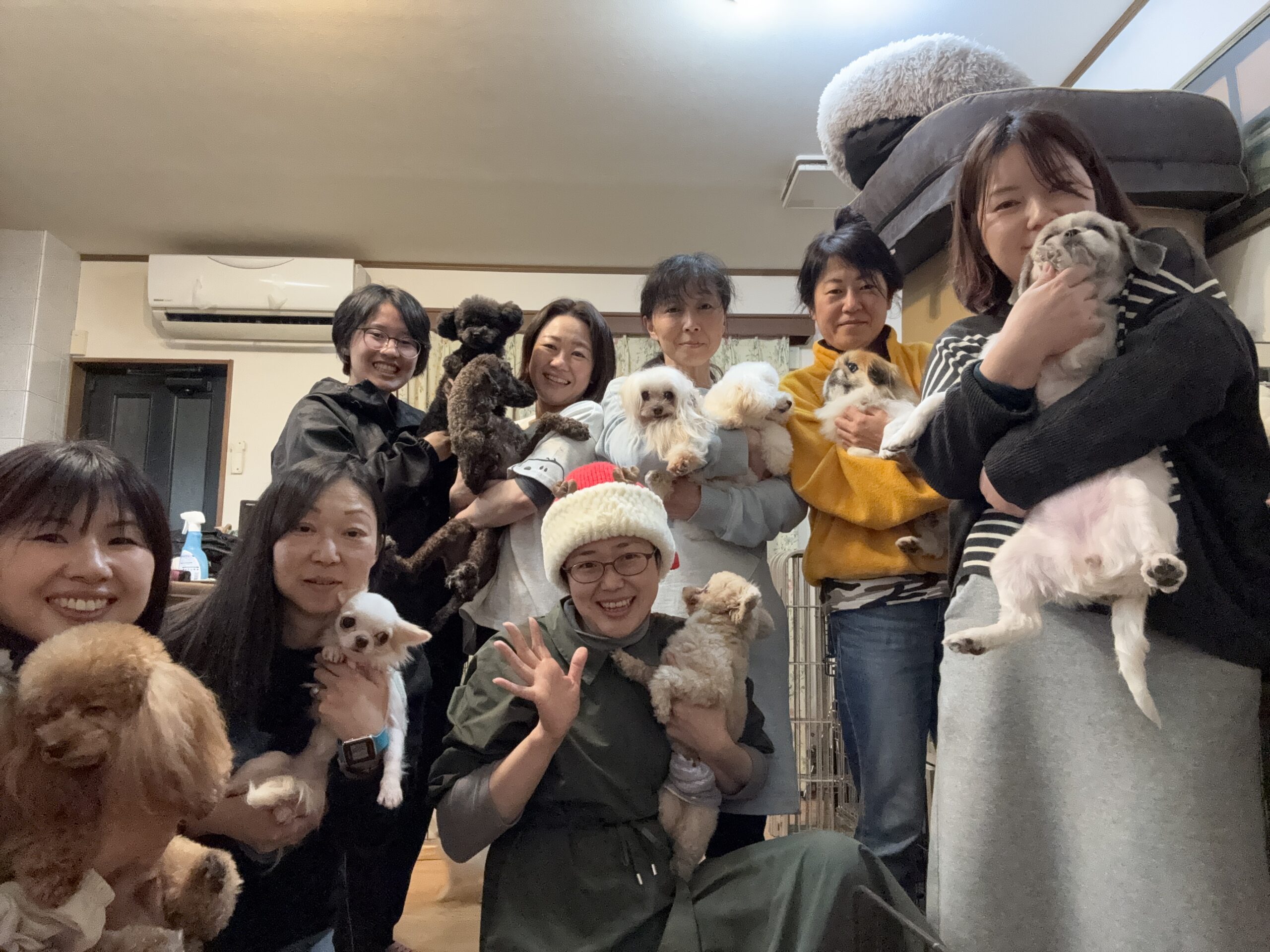 333 Dog-Care トリミングの道具店