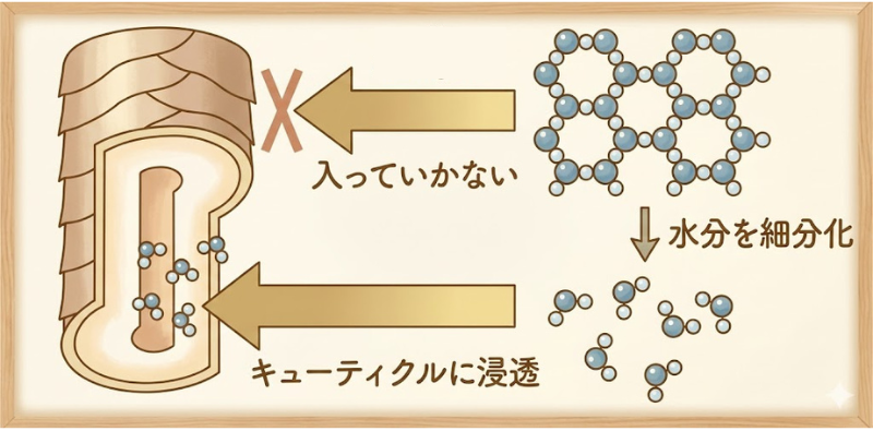 333 Dog-Care トリミングの道具店