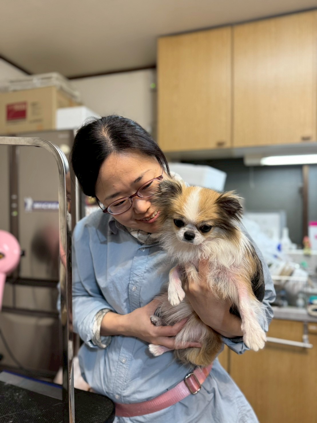 333 Dog-Care トリミングの道具店