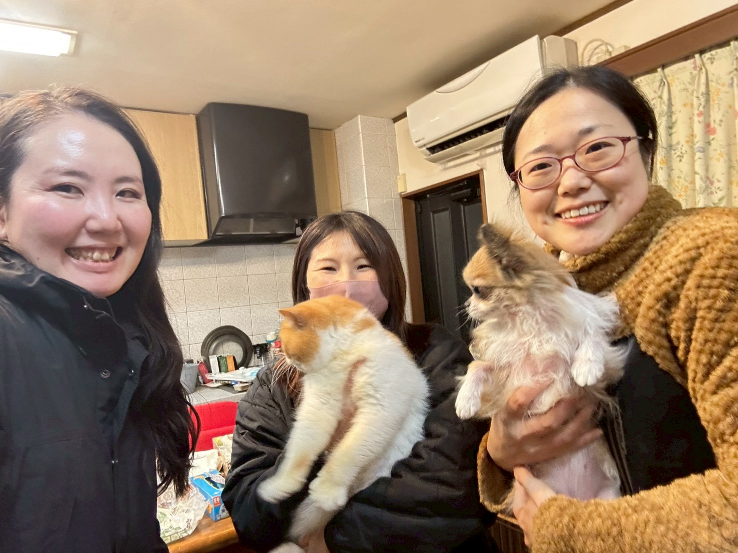 333 Dog-Care トリミングの道具店